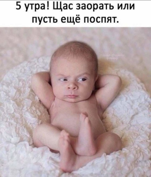 Приколюхи из скотсетей. Ч.2
