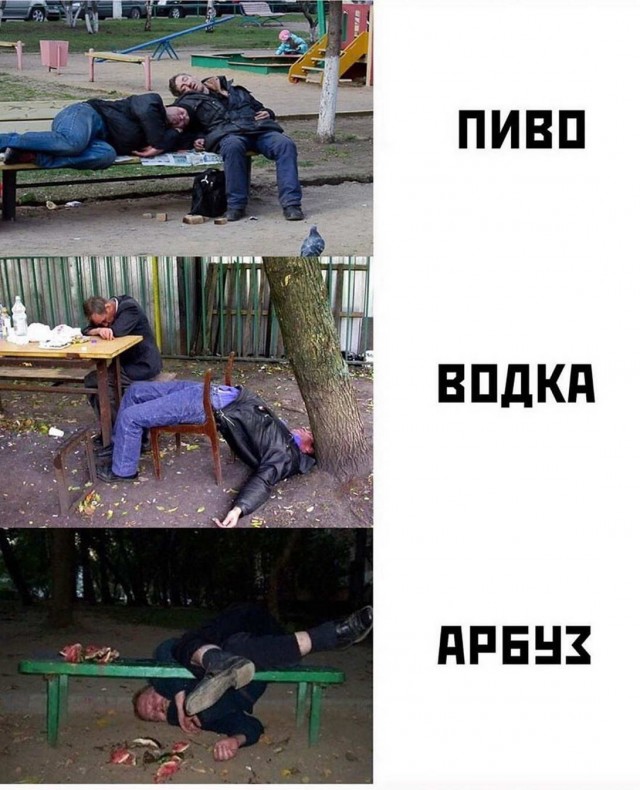 Скотсети и прочие интернеты 23.08.19