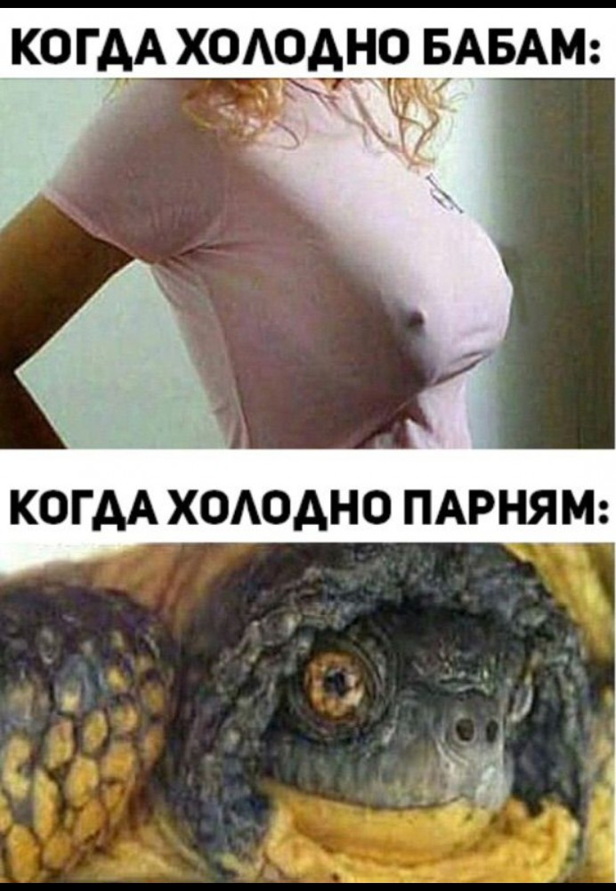 Что у них в голове...