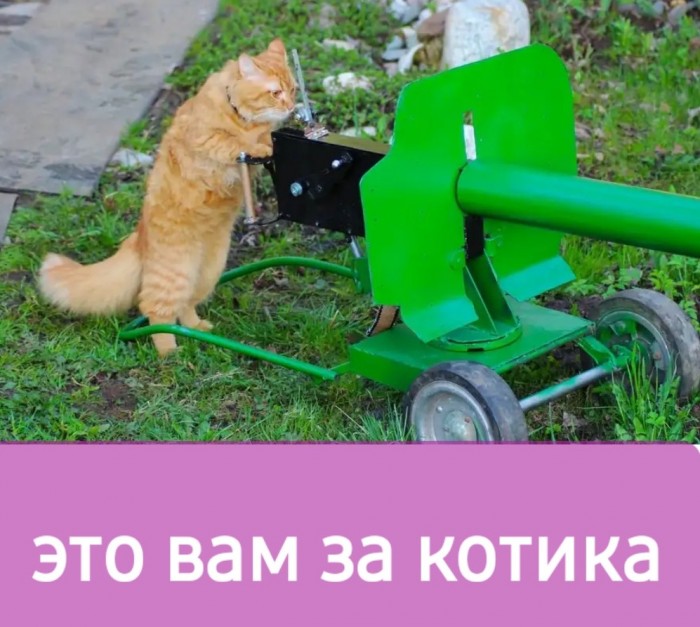 "А за ними кот, задом наперёд..."