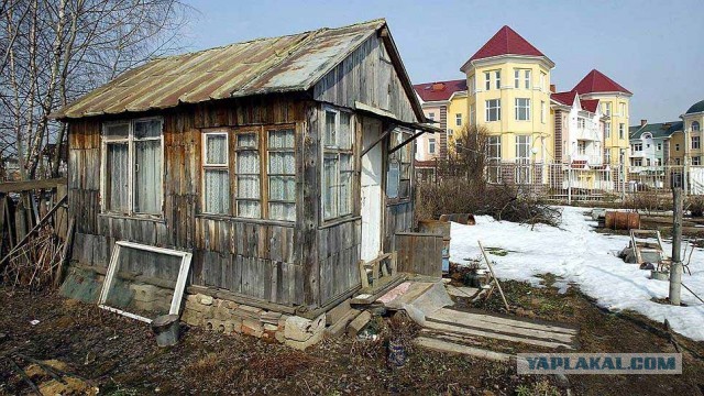 Суд запретил пенсионерам из алтайского поселка держать кур