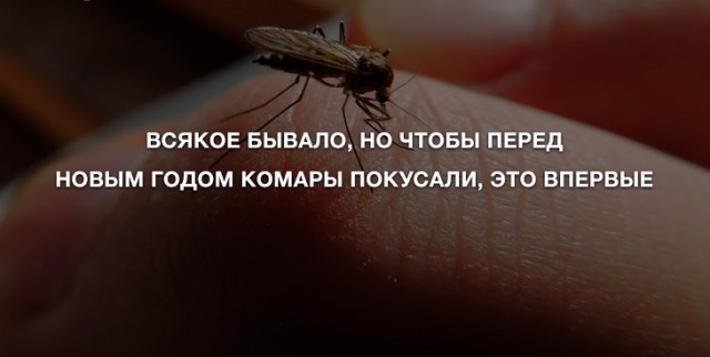 Анекдоты для позитива