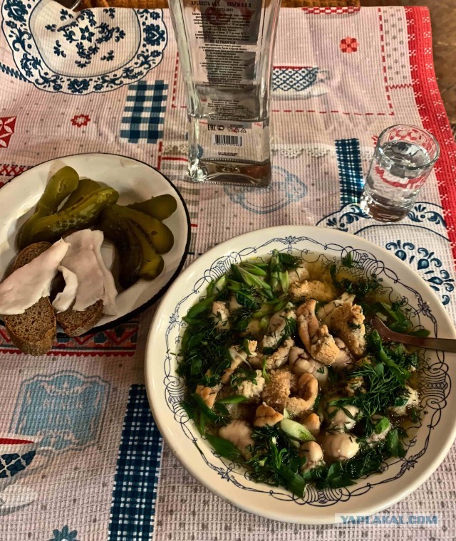 Жаренный берш с медово-огуречным соусом.