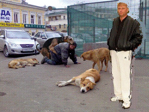 Лучший друг человека.... или наоборот!?