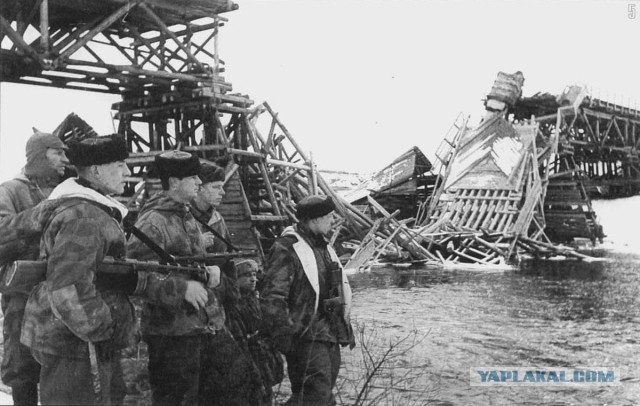И смех и грех: зимняя экипировка солдат вермахта в 1941-1942 годах
