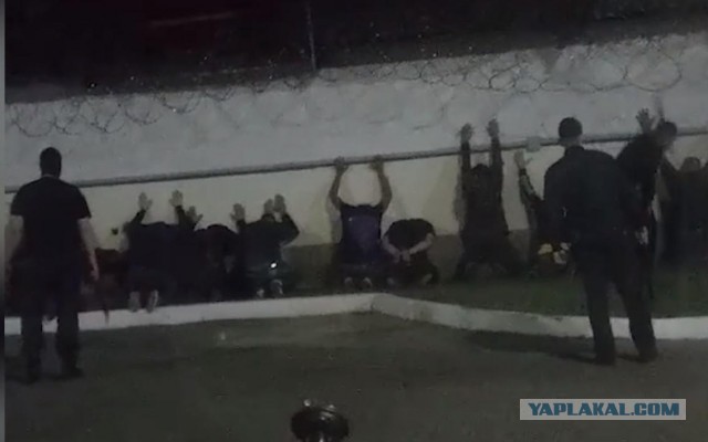 Новый рекорд. За воскресенье на протестах в Беларуси задержали более 1100 человек