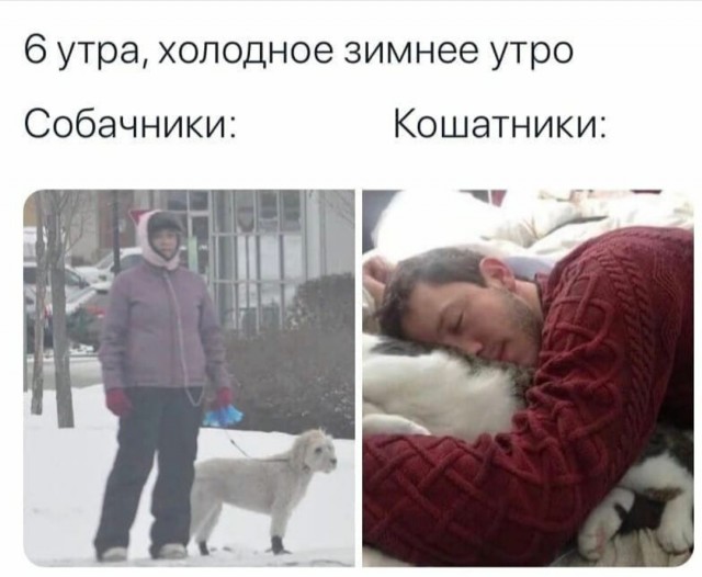 Картинки и мемы для настроения 012