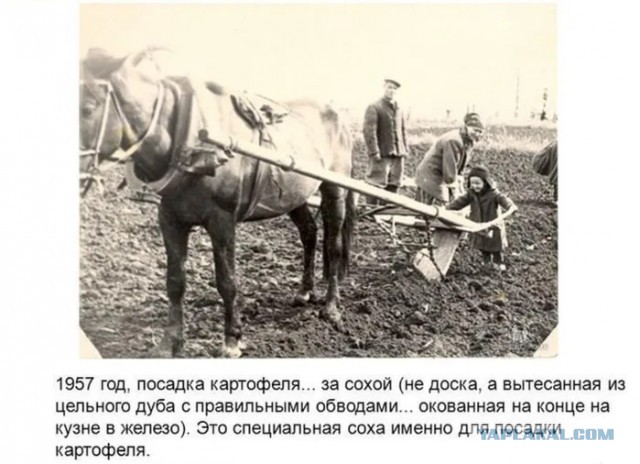 Герберт Уэллс о Сталине