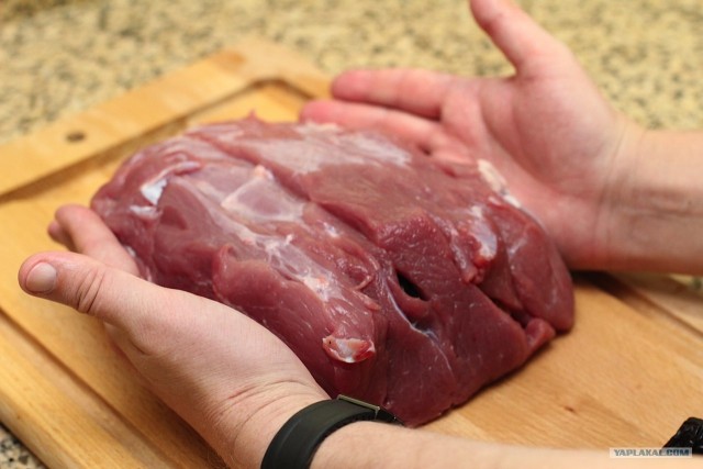 International одной книги., В память о Дженибеке.