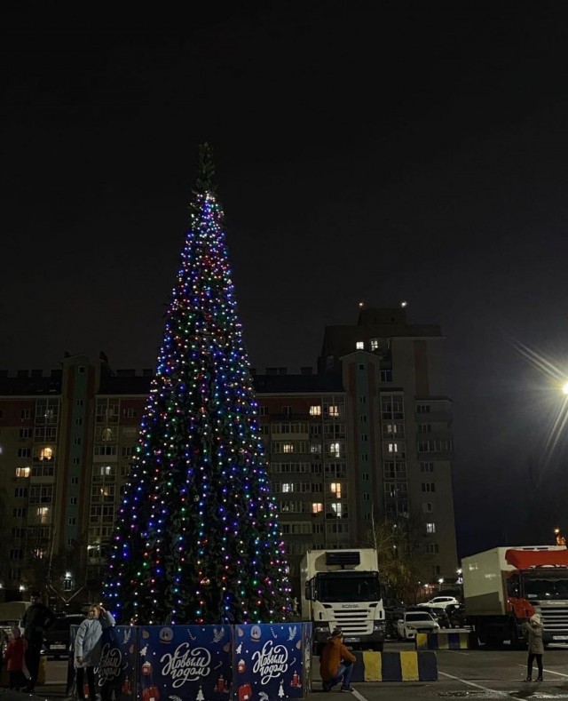 Сегодня днём в Воронеже у гипермаркета на Шишкова установили первую новогоднюю ёлку