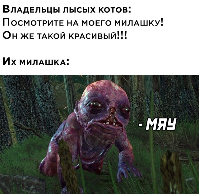 Всяческие картинки