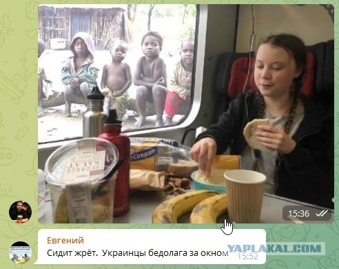 Грета Тунберг и беженцы!