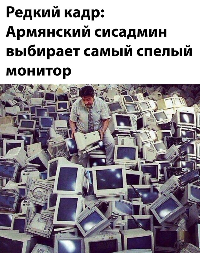 Весёлый полтишок 06.04.22