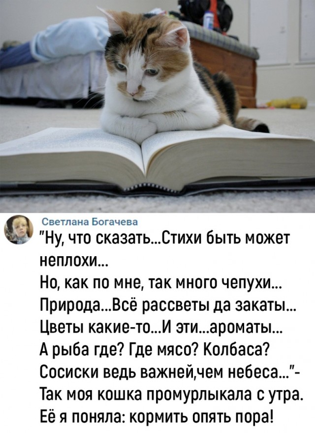 Так себе картинки 04.06.22