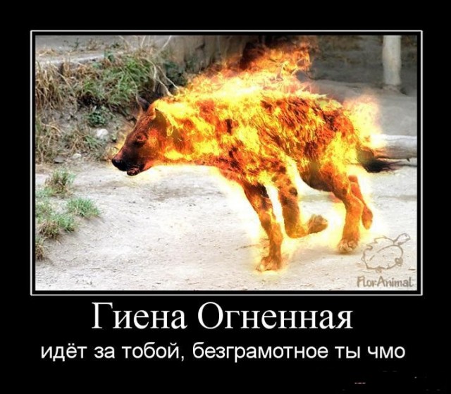 Женская сущность