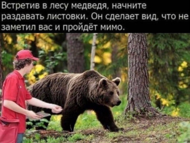 Так себе картинки 26.07.22
