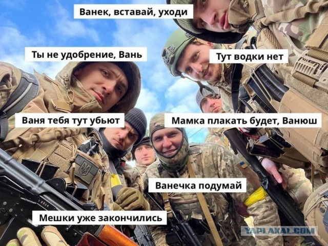 Володя