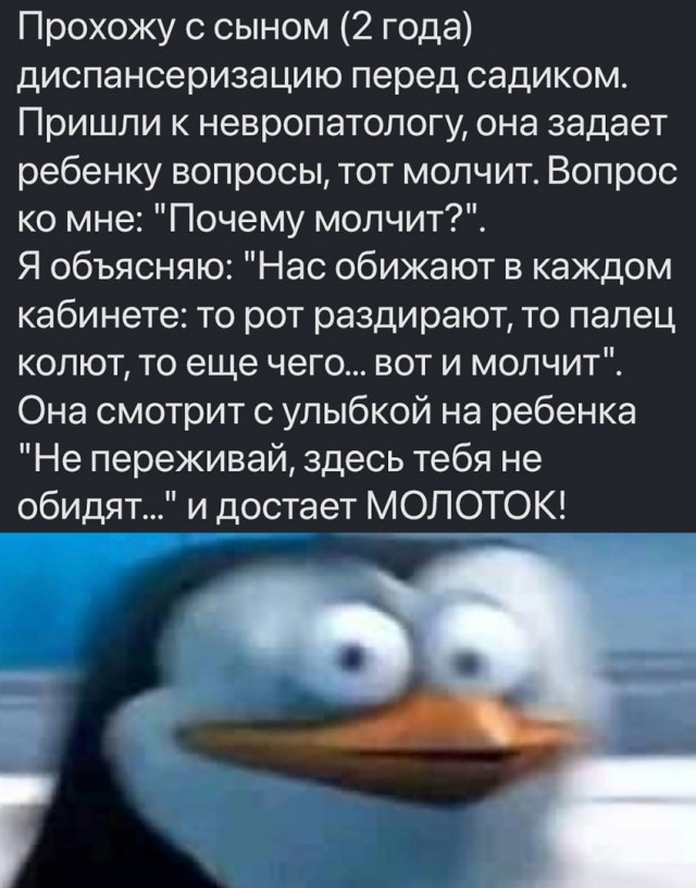 Чуток картинок 11.10.22