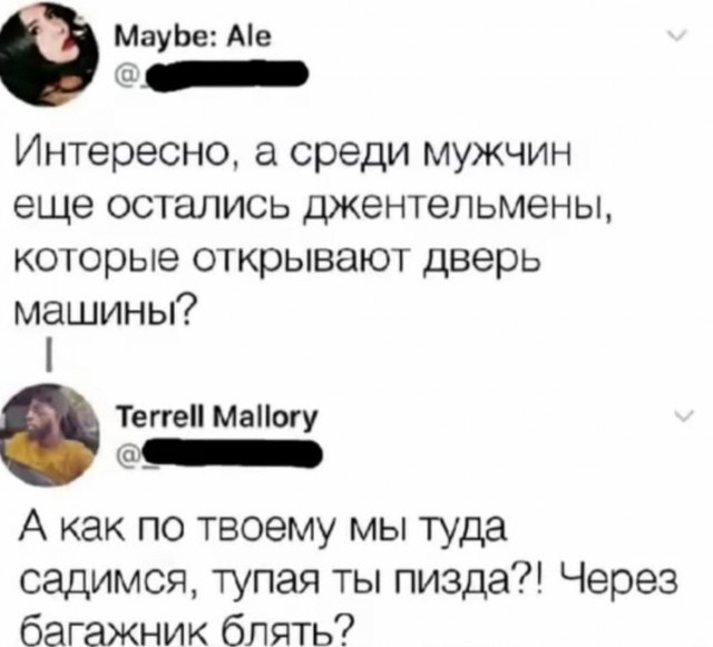 Весёлый полтишок 10.11.22