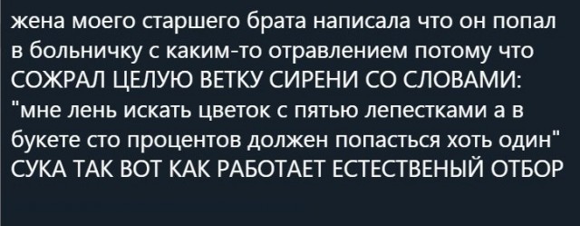 Народная меДИЧина 8022