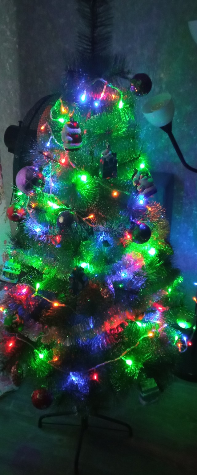 Выкладывайте свои елки!
