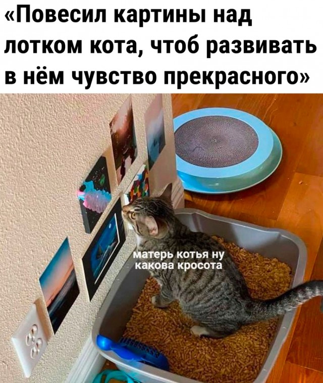 Так себе картинки 25.01.2023