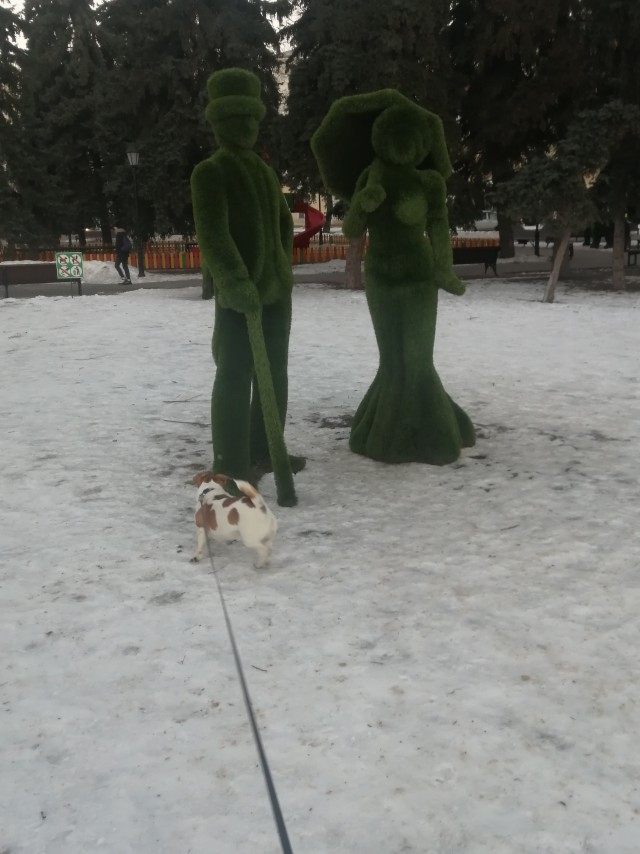 Куда собакенов своих дели? Четветрг же…