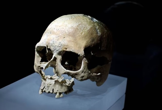 «Леди из моря» — её возраст 9 тысяч лет. Загадка древнего черепа