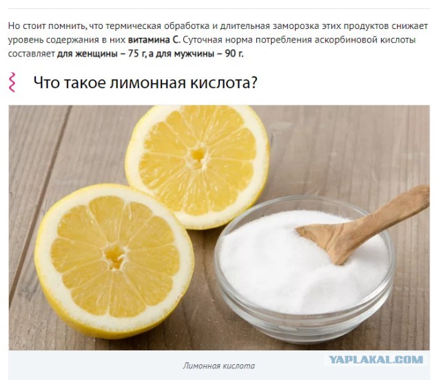 Спасти Ленинград от эпидемии. История блокадного витаминного коктейля