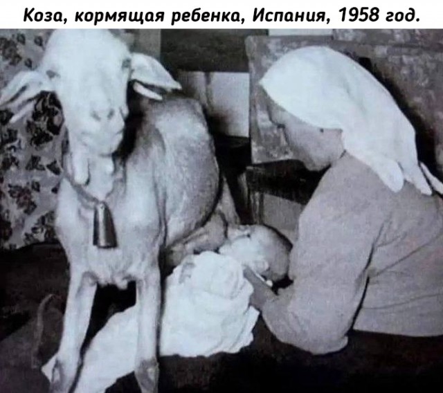 Небольшая подборка исторических фото (08.08)