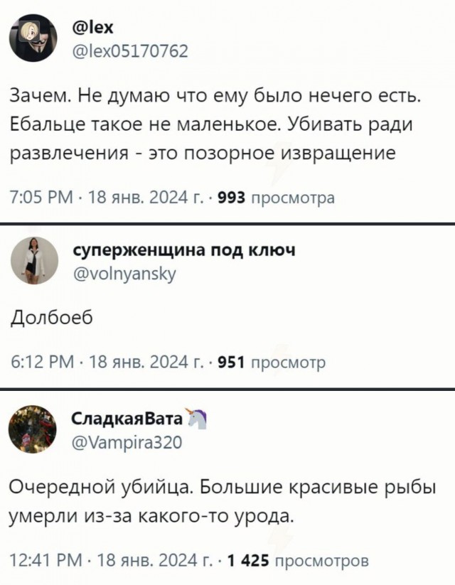 ⁠⁠Бурление вокруг рыбалки