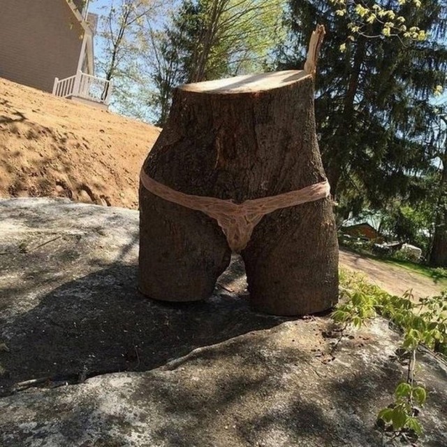 ФотоВинегрет