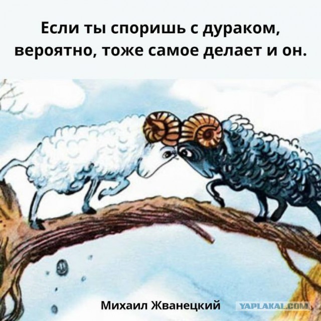 Нервная поездка за город