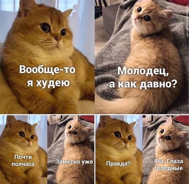 Быстрая деградация