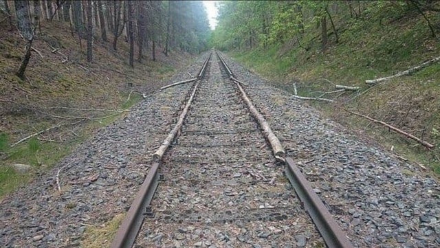 Голь на выдумки хитра.