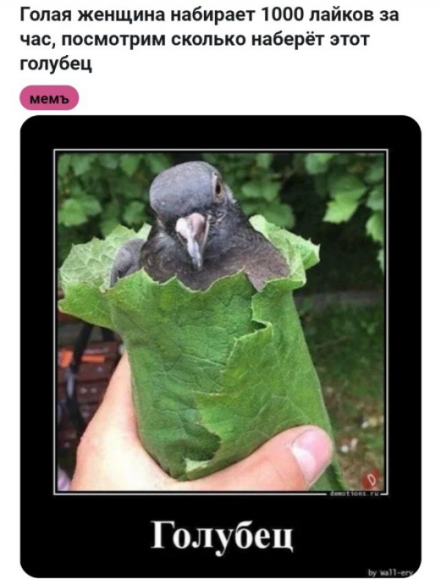 Еб**ины