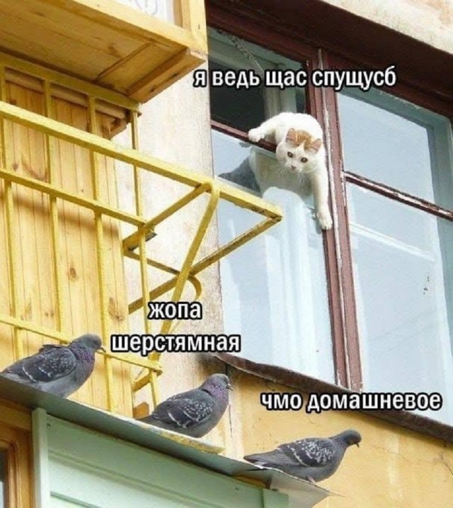 Так себе картинки 15.06.25