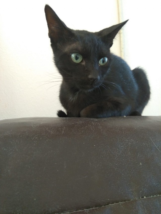 Его первый вторник