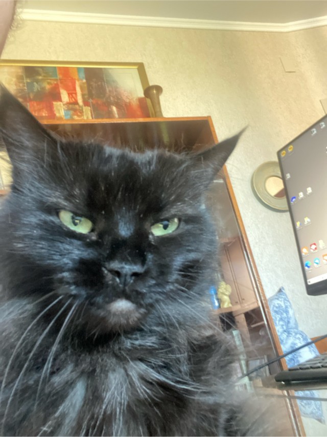 Его первый вторник