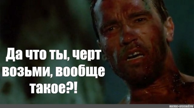 Что у них там происходит?