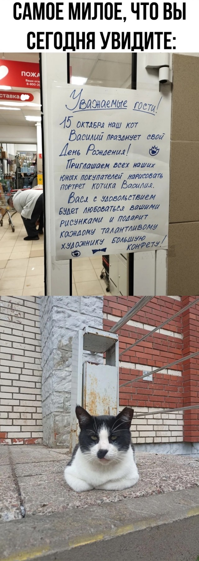 Веселое настроение в картинках (28.09.2025)