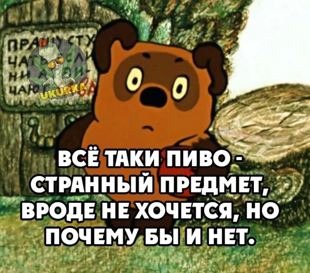 Прикольные и просто красивые картинки 14.11.2025