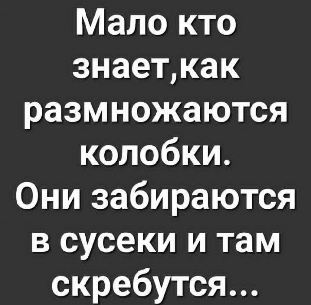 Маленькая пятница 17.12