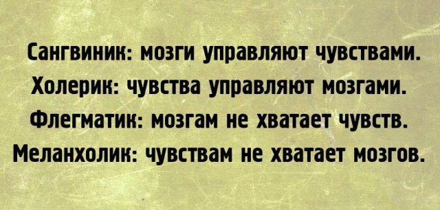 Веселые картинки в последний понедельник уходящего года (29.12)