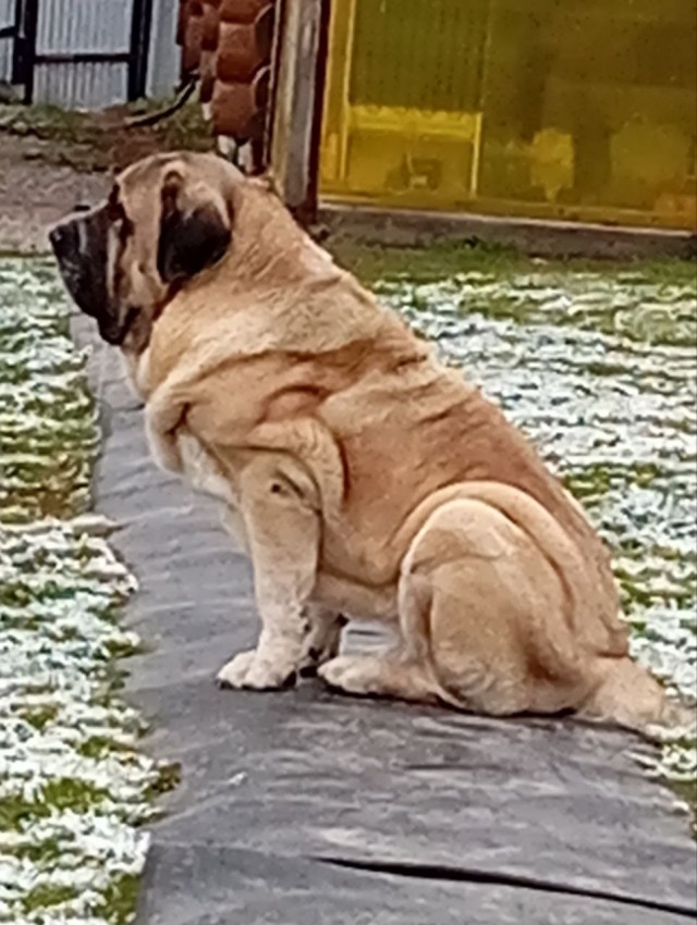 Ищу невесту