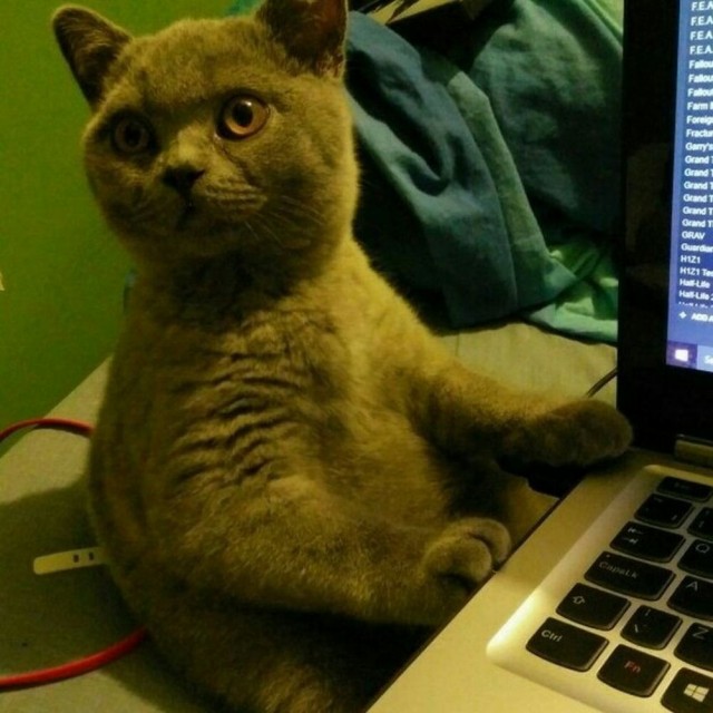 Субботние картинки