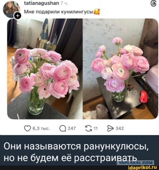 А причём тут цветы
