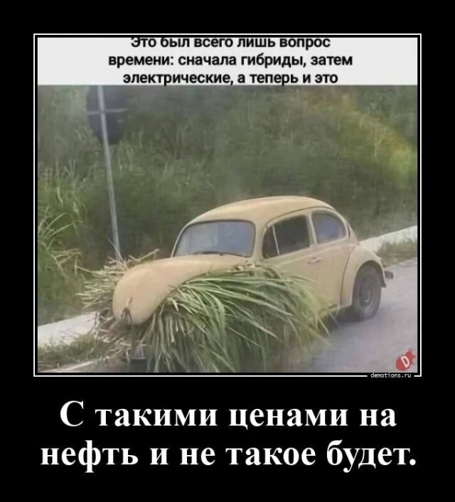 Картинки для деградации 170 (разной степени свежести)