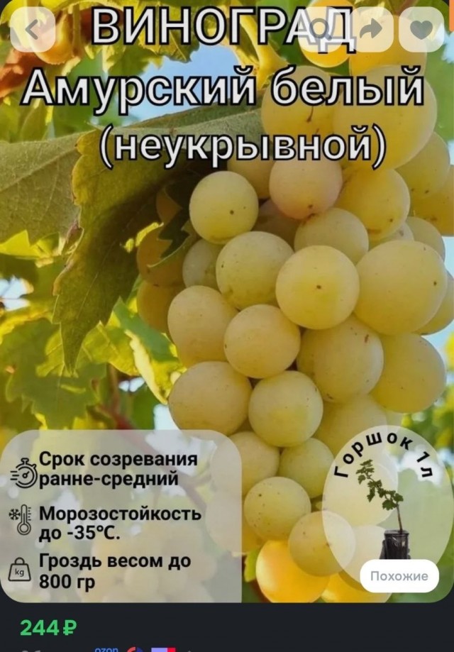 Давайте хвастаться