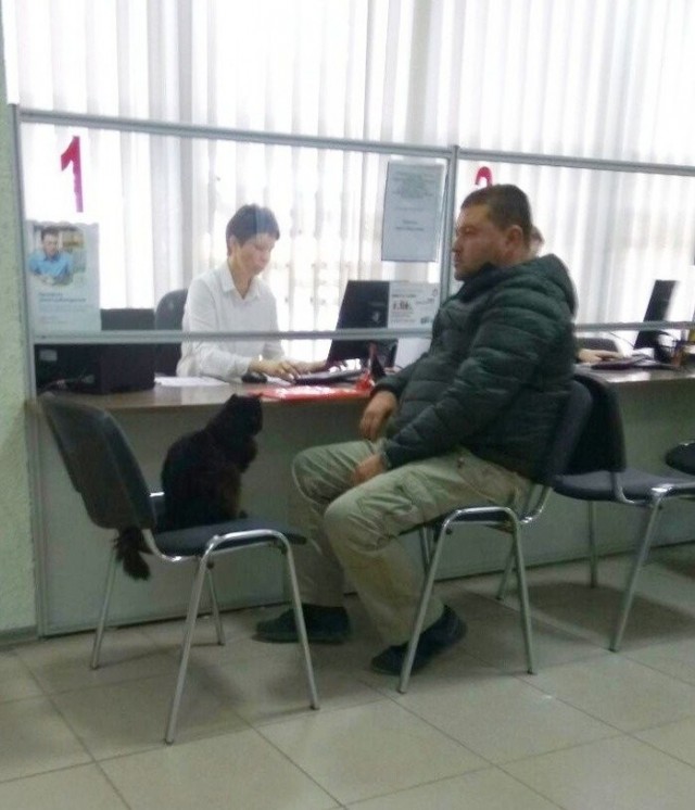 "Все свои деньги я вкладываю в долги» ©